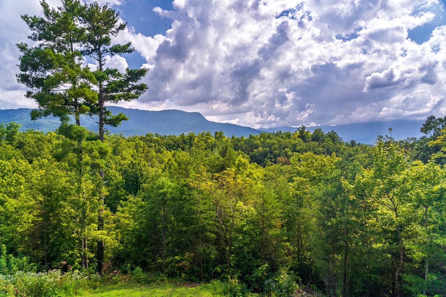 Big Bear Ridge Lodge - Breathtaking Mountain Views And Private Forest Scenes In Amazing Large Log Cabin Gatlinburg Exteriér fotografie